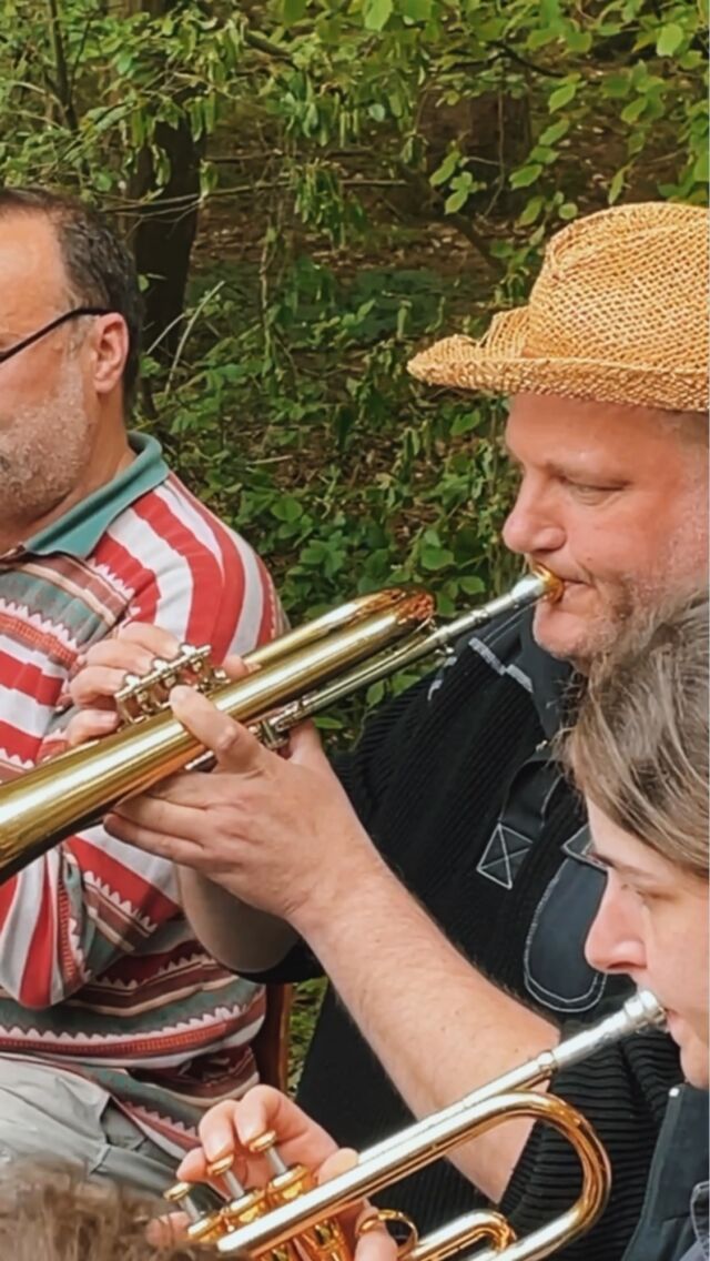 Schlager X Blasmusik🌳🎶🎺